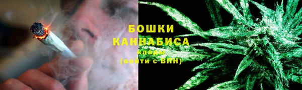 крисы Гусев