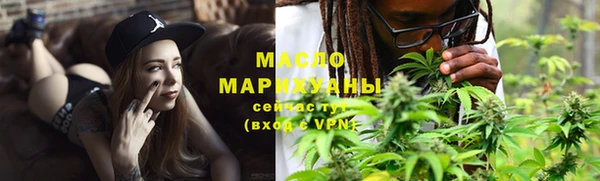 молекула духа Вяземский