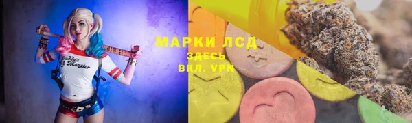 крисы Гусев