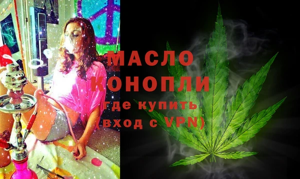 молекула духа Вяземский