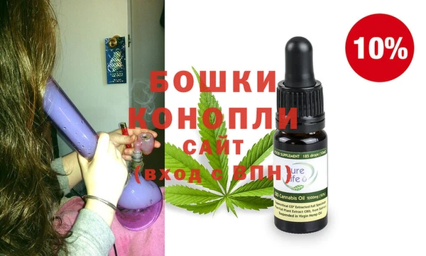 гашик Дмитриев
