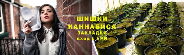 молекула духа Вяземский