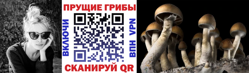 хочу наркоту  Дорогобуж  Галлюциногенные грибы мухоморы 